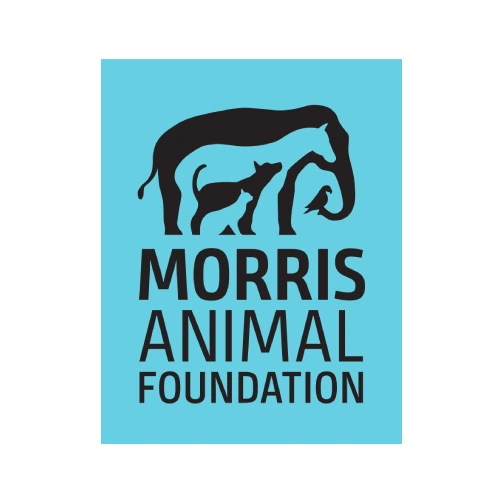 morris